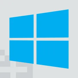 Microsoft Windows 2 50